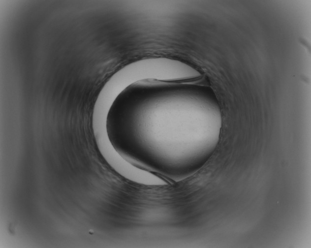 X0000091350768200708241247