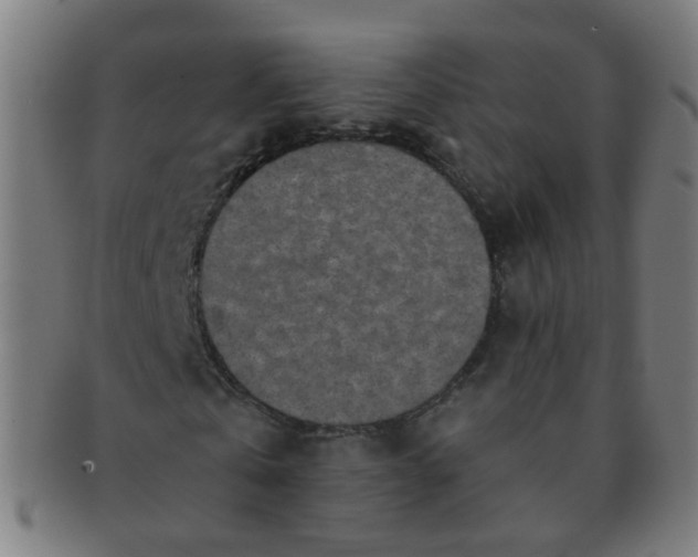 X0000091350769200708241246