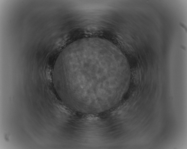 X0000091350770200708241246