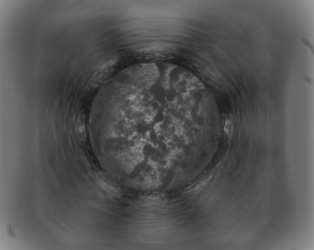X0000091350771200708241246