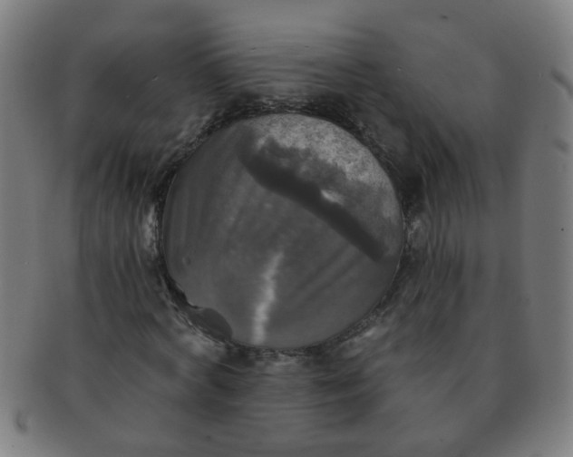 X0000091350772200708241246