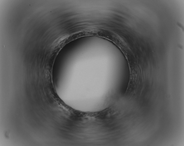 X0000091350773200708241246