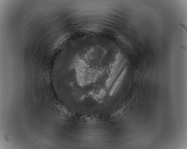 X0000091350774200708241246