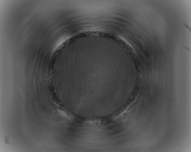 X0000091350775200708241246