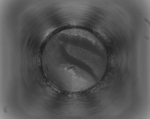 X0000091350776200708241246