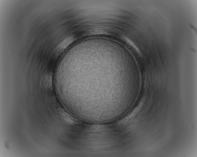 X0000091350777200708241246