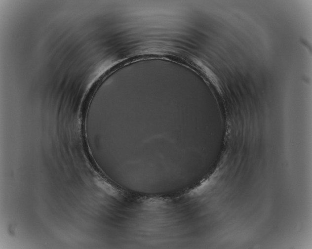 X0000091350779200708241246
