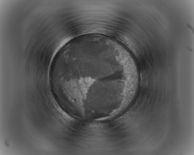 X0000091350780200708241246