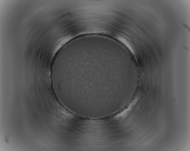 X0000091350781200708241246