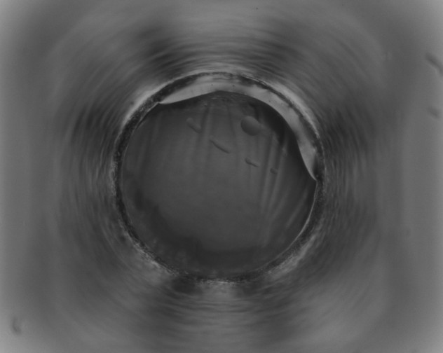 X0000091350783200708241246