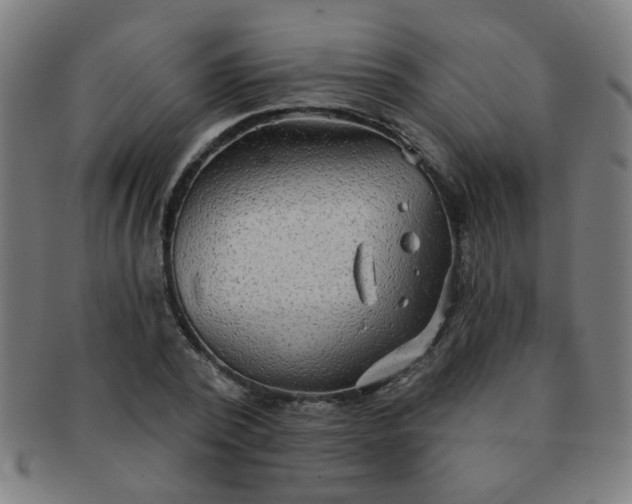 X0000091350784200708241246