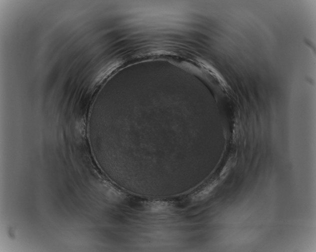 X0000091350785200708241246
