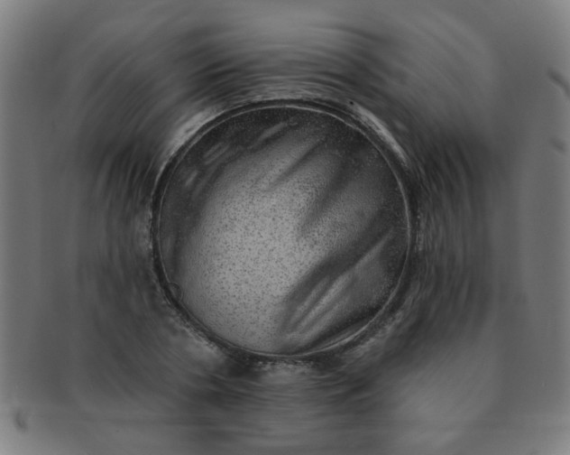 X0000091350786200708241246