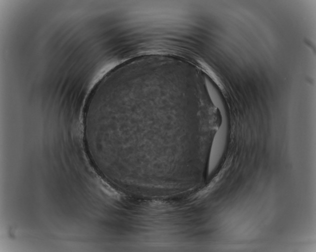 X0000091350787200708241246