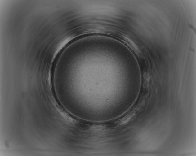 X0000091350788200708241246