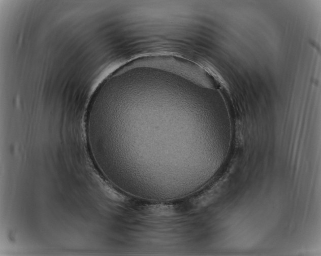 X0000091350789200708241246