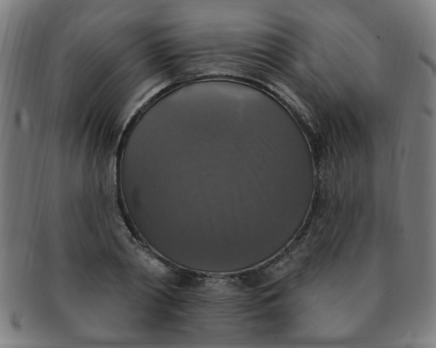 X0000091350790200708241246