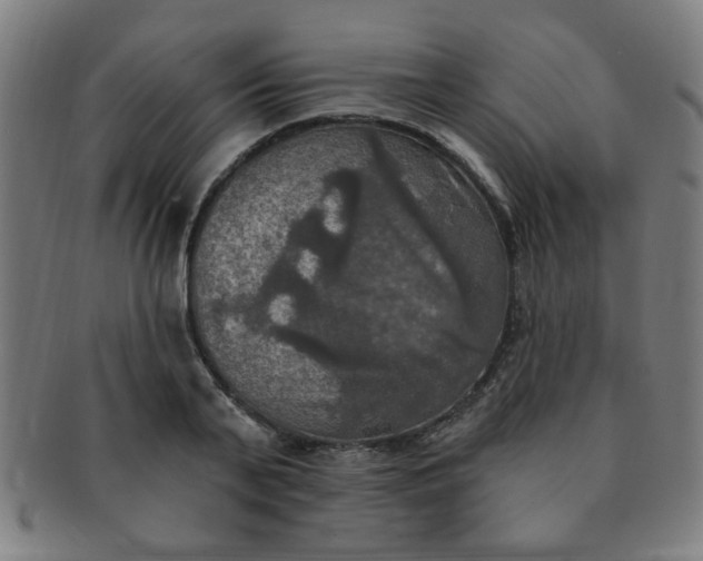 X0000091350791200708241246