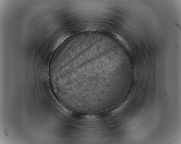 X0000091350794200708241245