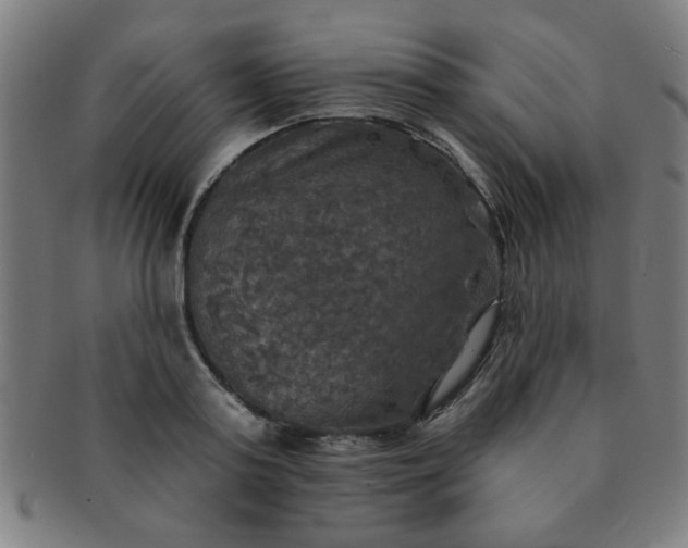 X0000091350795200708241245