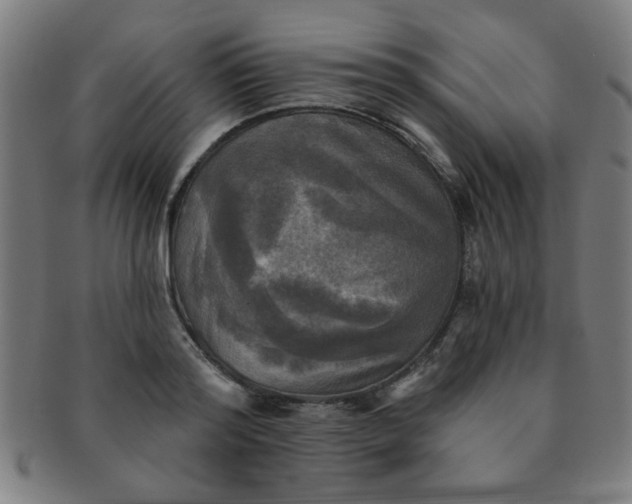 X0000091350796200708241245