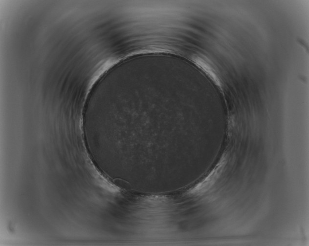 X0000091350797200708241245