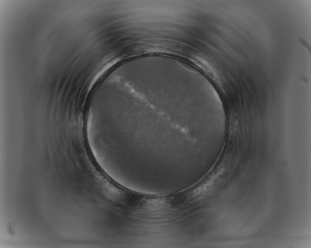 X0000091350798200708241245