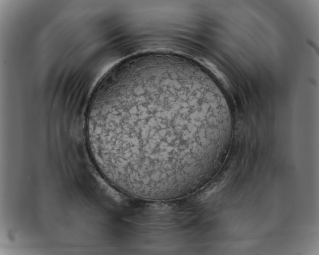X0000091350799200708241245