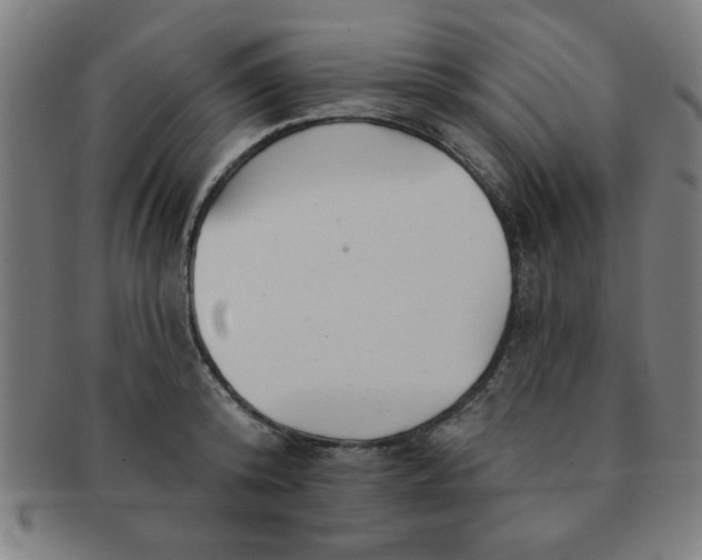 X0000091350800200708241245