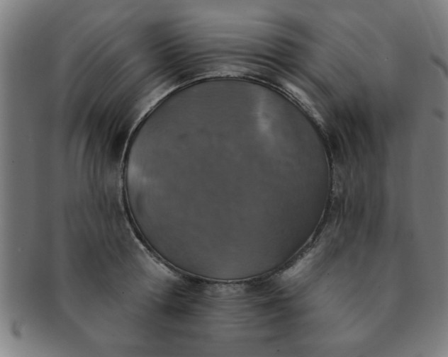 X0000091350802200708241245
