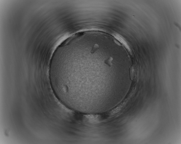 X0000091350805200708241245