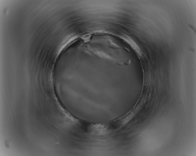 X0000091350806200708241245