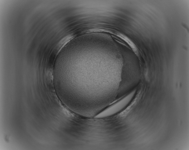 X0000091350809200708241245