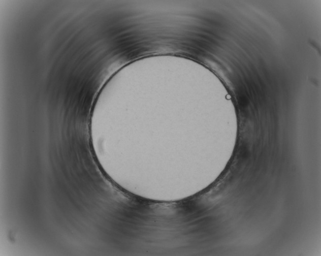 X0000091350810200708241245