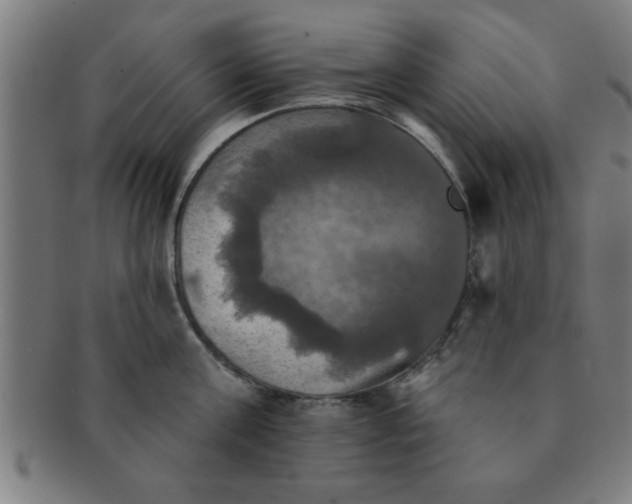 X0000091350811200708241245