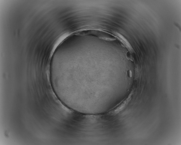 X0000091350812200708241245