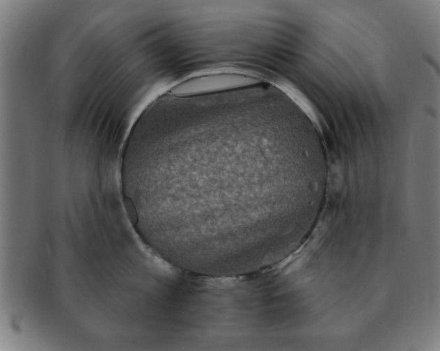 X0000091350813200708241245