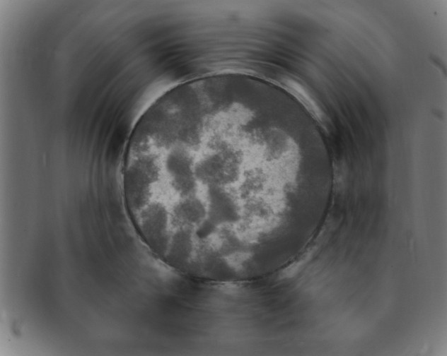 X0000091350814200708241245