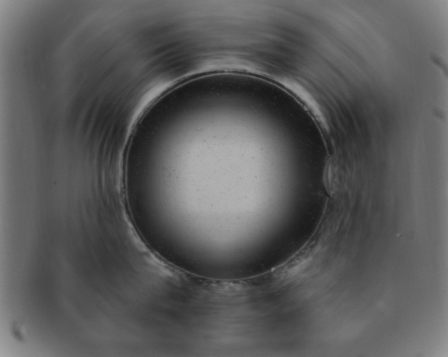 X0000091350815200708241245