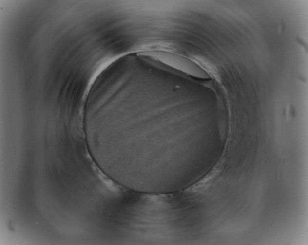 X0000091350816200708241245
