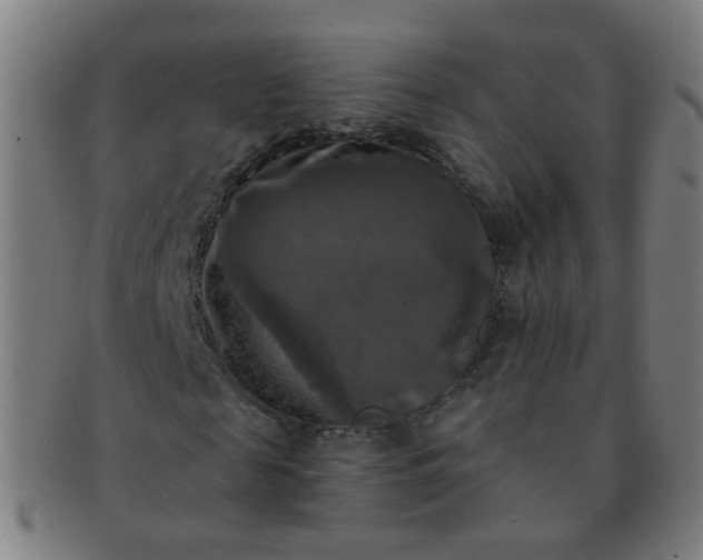 X0000091350817200708241244