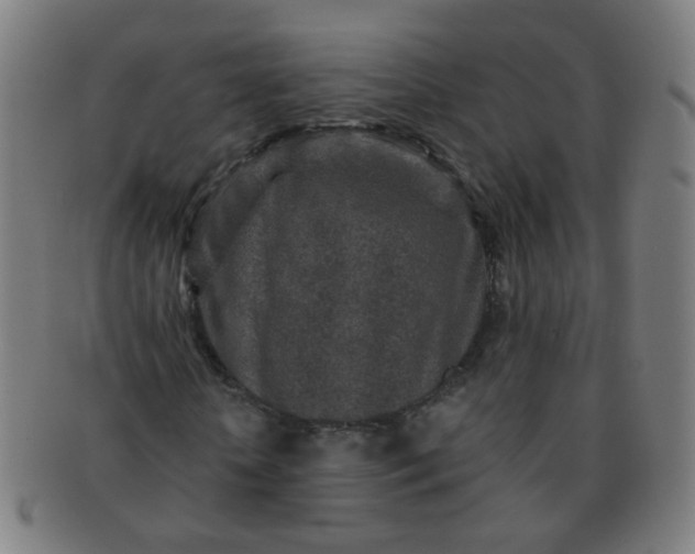 X0000091350818200708241244