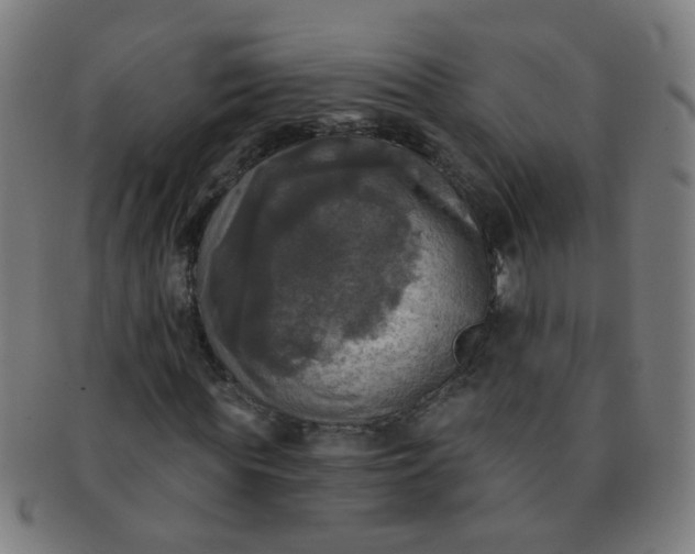 X0000091350819200708241244