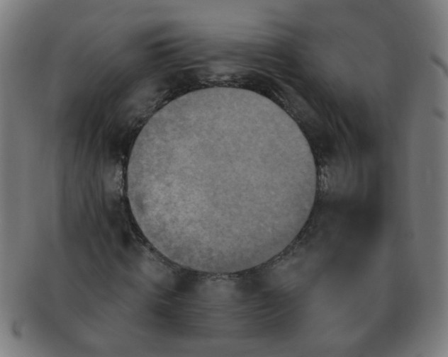 X0000091350820200708241244