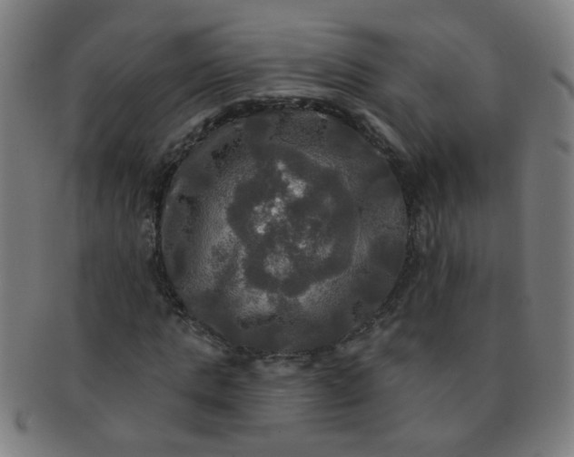 X0000091350821200708241244