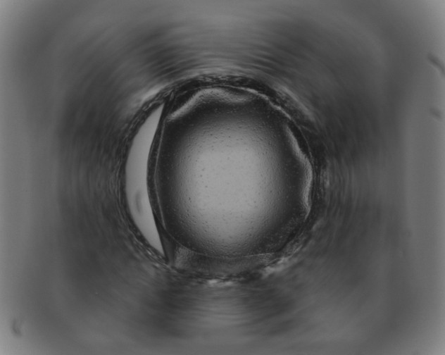 X0000091350822200708241244
