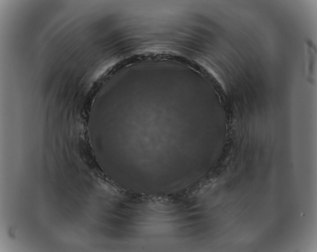 X0000091350823200708241244
