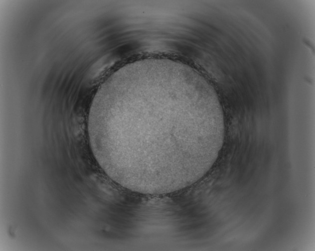 X0000091350824200708241244