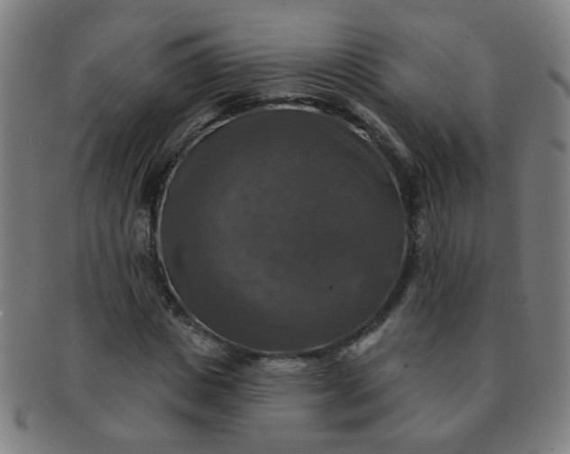 X0000091350825200708241244