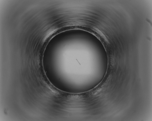 X0000091350826200708241244